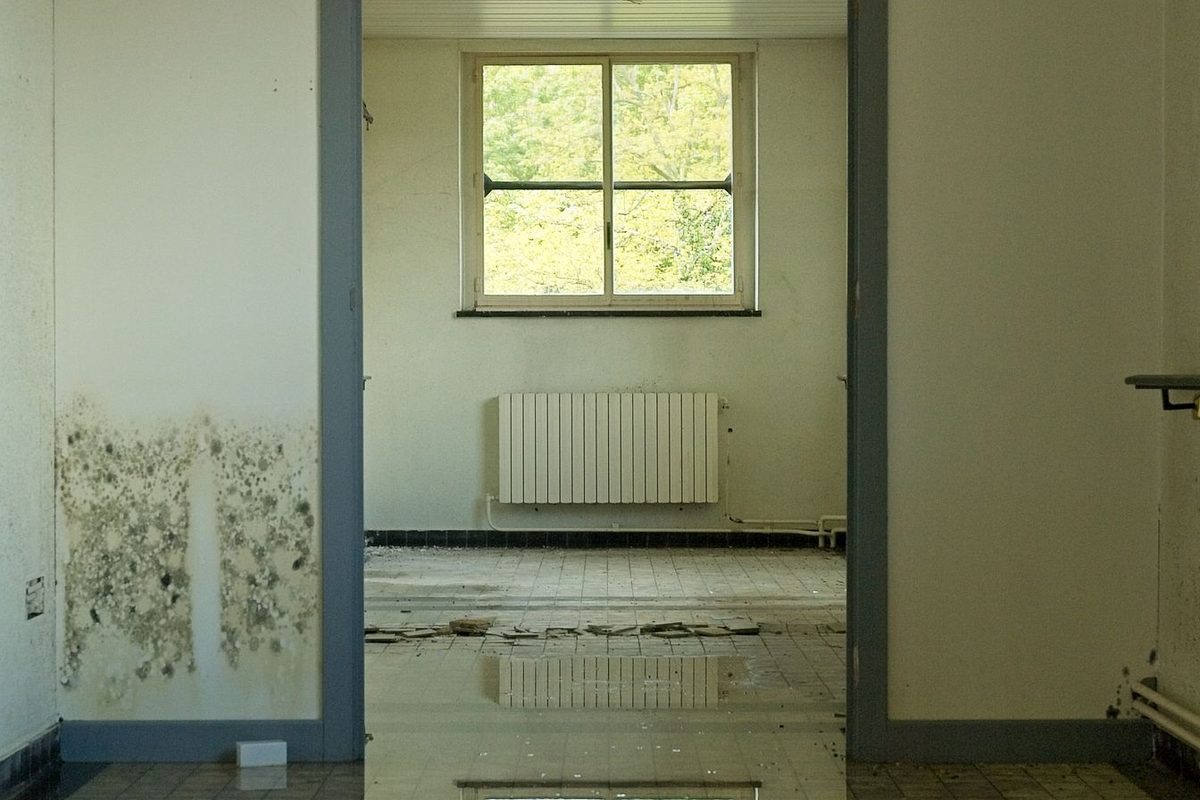 Durchfeuchtete Innenwand mit Feuchtigkeits- und Schimmelspuren